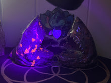 Load image into Gallery viewer, Firestone Sharks