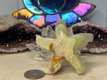 Load image into Gallery viewer, Calcite Starfish