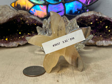 Load image into Gallery viewer, Calcite Starfish