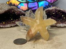 Load image into Gallery viewer, Calcite Starfish