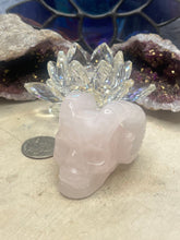 Load image into Gallery viewer, Horned Skull