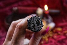 Load image into Gallery viewer, Fountain of Youth Bath Salts