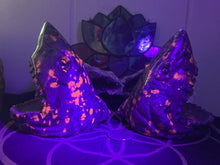 Load image into Gallery viewer, Firestone Sharks