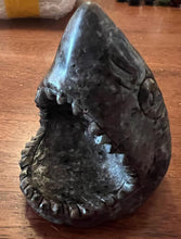 Load image into Gallery viewer, Firestone Sharks