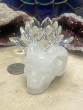 Load image into Gallery viewer, Horned Skull