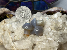 Load image into Gallery viewer, Mini Mushrooms