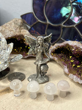 Load image into Gallery viewer, Mini Mushrooms