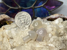 Load image into Gallery viewer, Mini Mushrooms