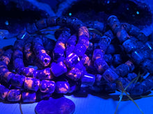 Load image into Gallery viewer, Firestone Bracelets