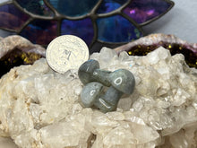 Load image into Gallery viewer, Mini Mushrooms