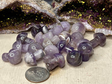 Load image into Gallery viewer, Mini Mushrooms