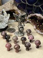 Load image into Gallery viewer, Mini Mushrooms