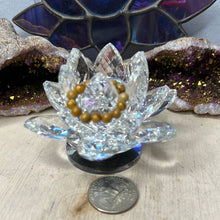 Load image into Gallery viewer, Assorted Fingerings