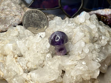 Load image into Gallery viewer, Mini Mushrooms