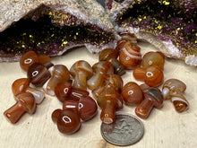 Load image into Gallery viewer, Mini Mushrooms