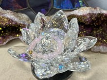 Load image into Gallery viewer, Assorted Fingerings