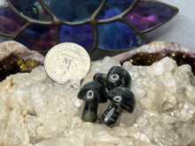 Load image into Gallery viewer, Mini Mushrooms