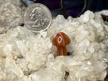 Load image into Gallery viewer, Mini Mushrooms