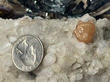 Load image into Gallery viewer, Sunstone Hello Kitty and Foxes