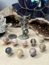 Load image into Gallery viewer, Mini Mushrooms