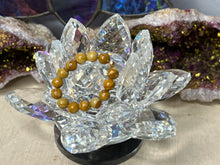 Load image into Gallery viewer, Assorted Fingerings