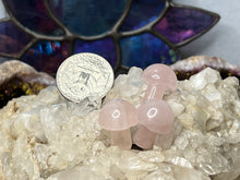 Load image into Gallery viewer, Mini Mushrooms