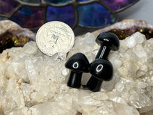 Load image into Gallery viewer, Mini Mushrooms