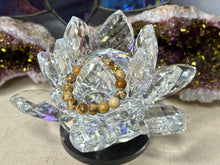 Load image into Gallery viewer, Assorted Fingerings