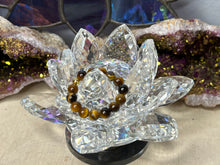 Load image into Gallery viewer, Assorted Fingerings