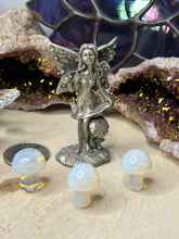 Load image into Gallery viewer, Mini Mushrooms