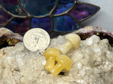 Load image into Gallery viewer, Mini Mushrooms