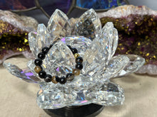 Load image into Gallery viewer, Assorted Fingerings