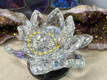 Load image into Gallery viewer, Assorted Fingerings