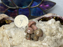 Load image into Gallery viewer, Mini Mushrooms