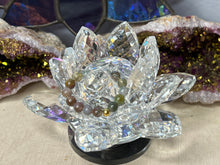 Load image into Gallery viewer, Assorted Fingerings