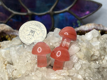 Load image into Gallery viewer, Mini Mushrooms