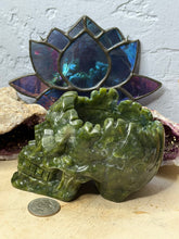 Load image into Gallery viewer, Serpentine Skull Planter
