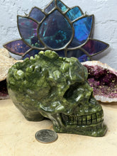 Load image into Gallery viewer, Serpentine Skull Planter
