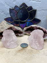 Load image into Gallery viewer, Toothless Dragon
