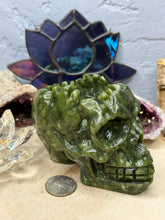 Load image into Gallery viewer, Serpentine Skull Planter
