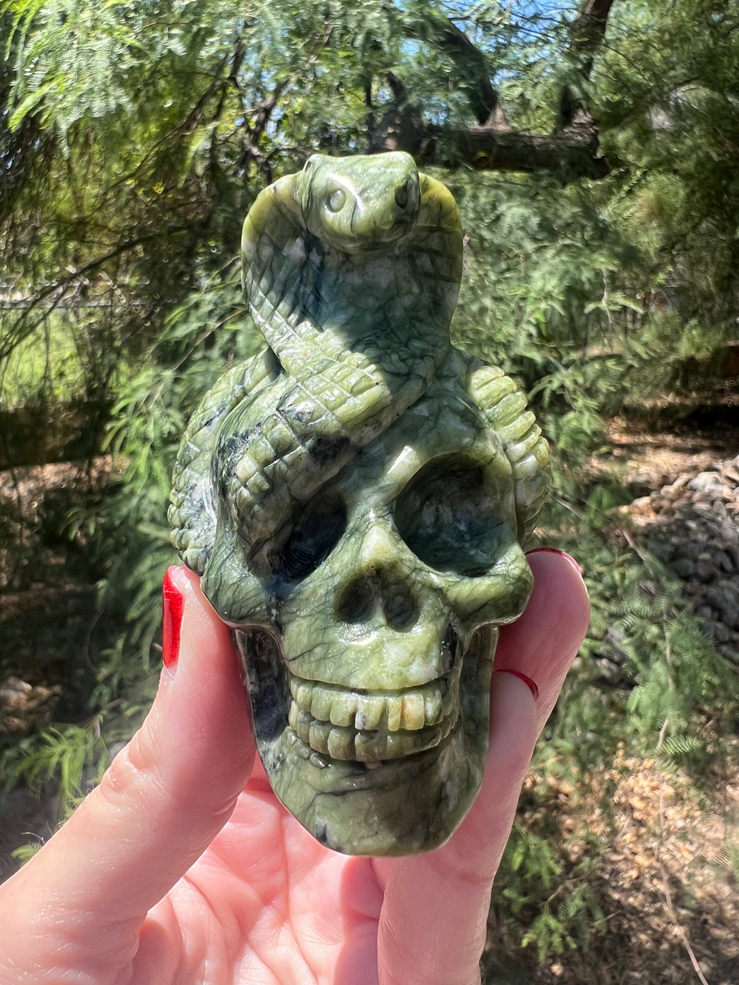 Serpentine Skull with Snake
