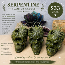 Load image into Gallery viewer, Serpentine Skull Planter

