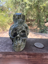 Load image into Gallery viewer, Serpentine Skull with Snake
