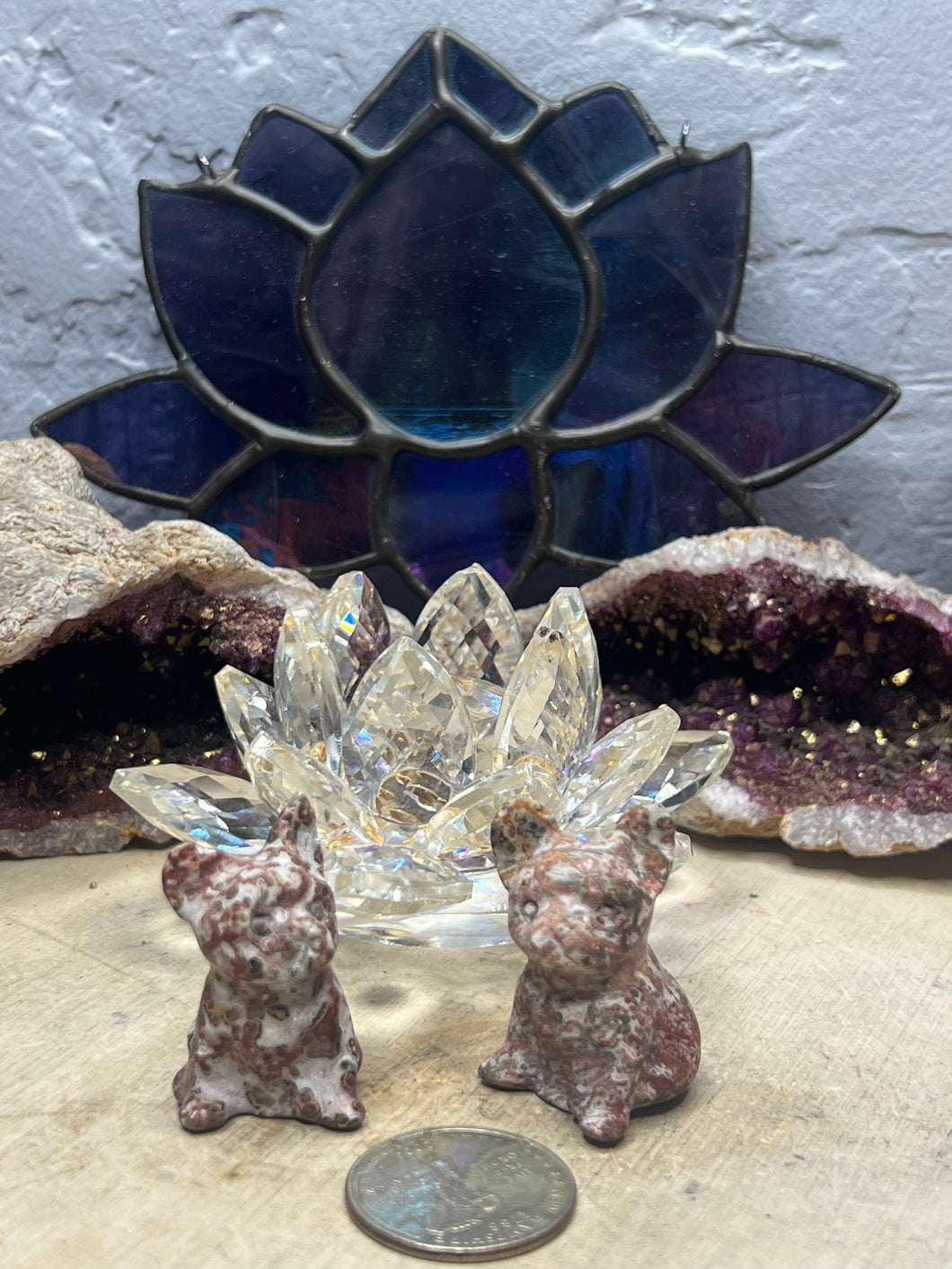 Jasper Frenchie Bull Dog