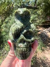 Load image into Gallery viewer, Serpentine Skull with Snake
