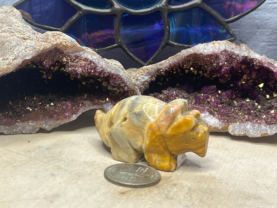 Crazy Lace Agate Triceratops