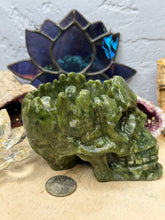 Load image into Gallery viewer, Serpentine Skull Planter
