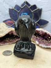 Load image into Gallery viewer, Obsidian Raven
