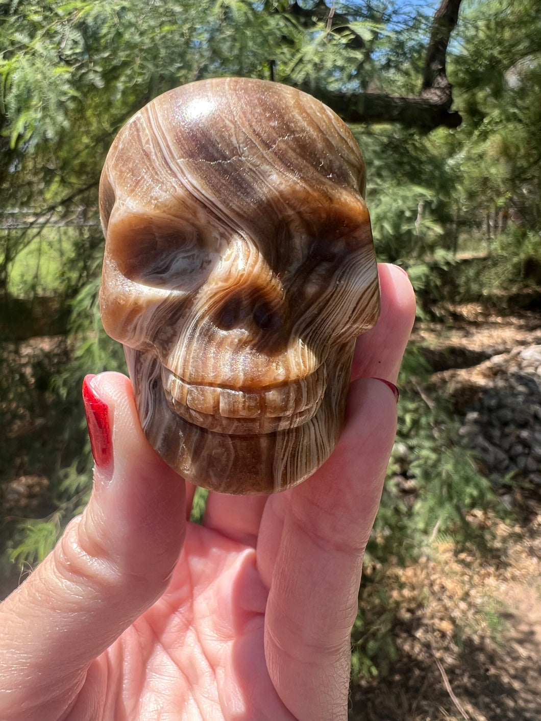 Chocolate Calcite Skulls
