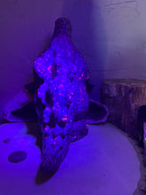 Load image into Gallery viewer, Syenite Godzilla
